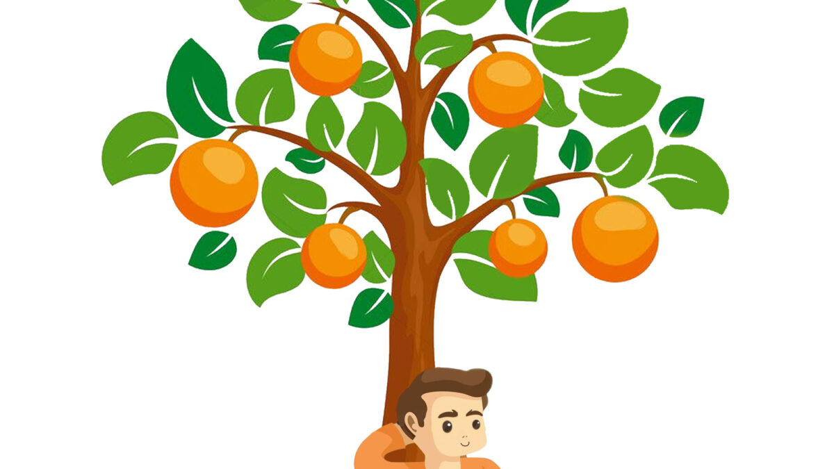Ragazzo seduto sotto un albero di arance