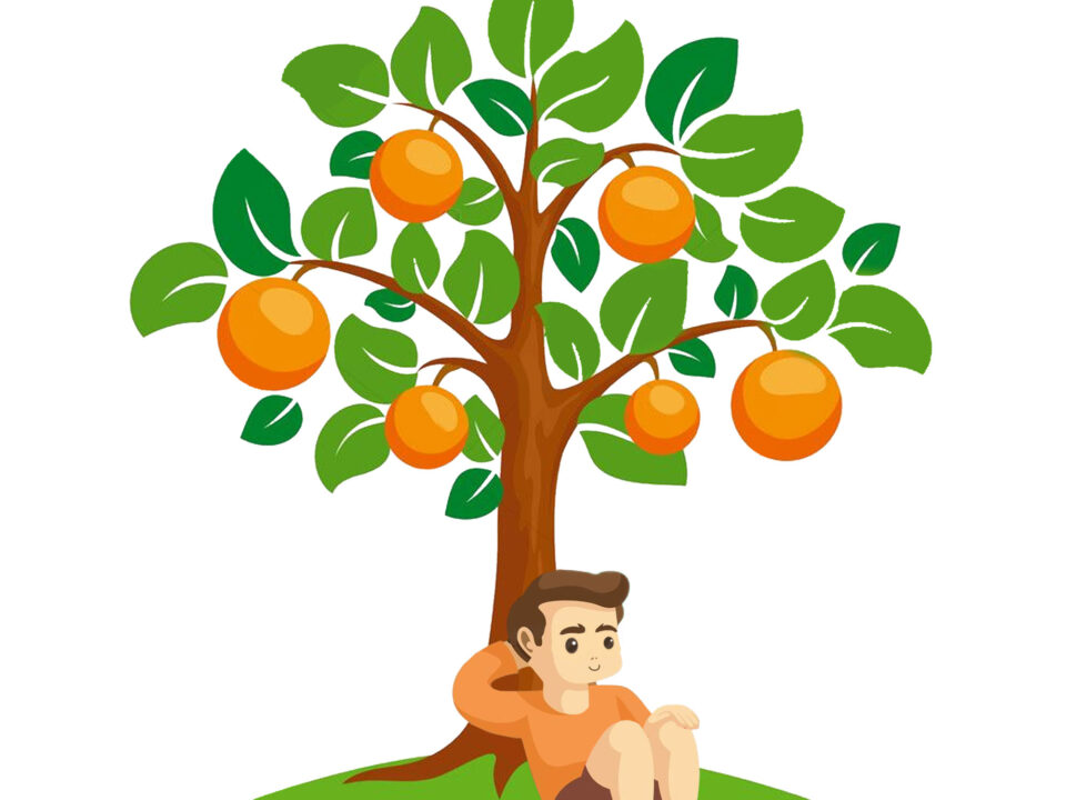 Ragazzo seduto sotto un albero di arance