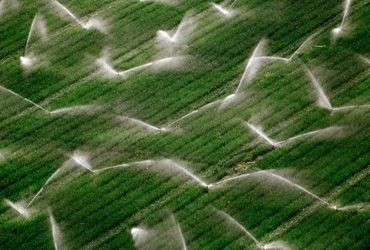 irrigazione agricoltura
