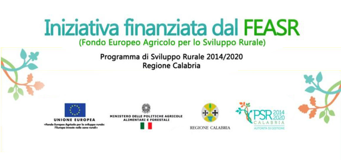 banner sito web misura finanziaria 2020