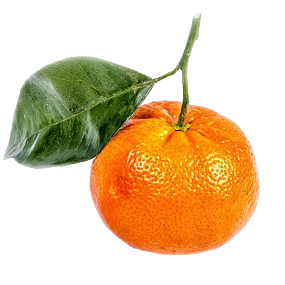Mandarini Tardivo di Ciaculli 1